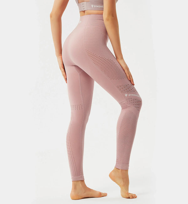 Brisk Like Me Mesh Seamless Leggings