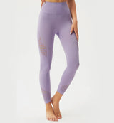 Brisk Like Me Mesh Seamless Leggings