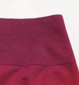 Ombre Scrunch Butt Lifting Seamless Shorts