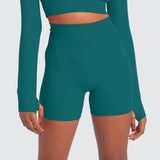 Nimble Fit Seamless High Waist Shorts