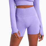 Nimble Fit Seamless High Waist Shorts