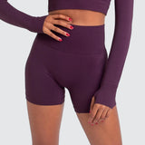 Nimble Fit Seamless High Waist Shorts