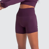 Nimble Fit Seamless High Waist Shorts