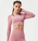 Nimble Fit Long Sleeve Crop Top