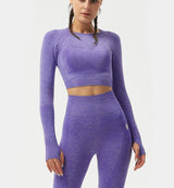 Nimble Fit Long Sleeve Crop Top