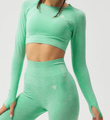 Nimble Fit Long Sleeve Crop Top