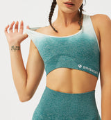 Ombre High Impact Sports Bra