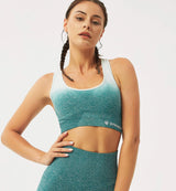 Ombre High Impact Sports Bra