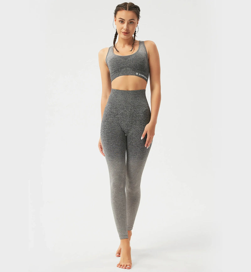 Ombre High Impact Sports Bra