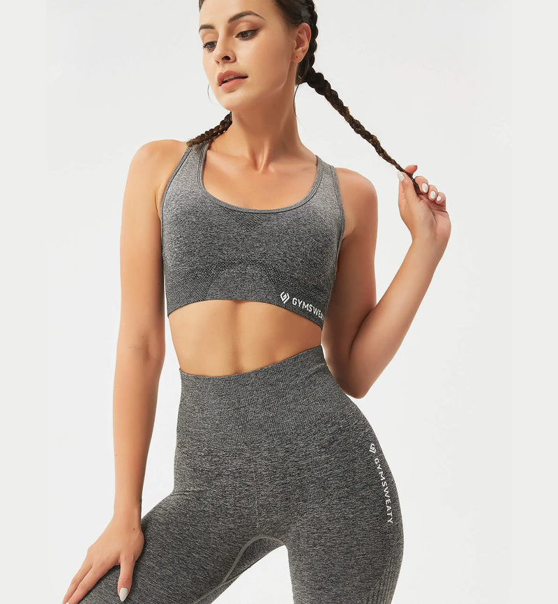 Ombre High Impact Sports Bra