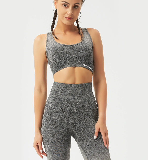 Ombre High Impact Sports Bra