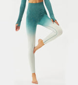 Ombre High Waisted Seamless Leggings