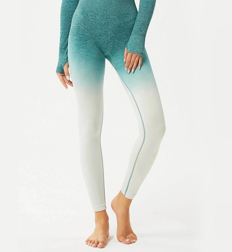 Ombre High Waisted Seamless Leggings