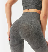 Ombre High Waisted Seamless Leggings