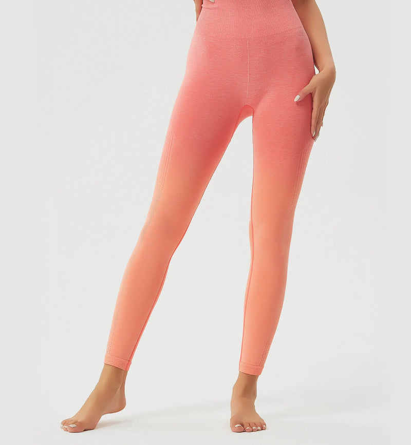 Ombre High Waisted Seamless Leggings