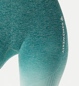 Ombre High Waisted Seamless Leggings