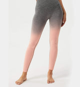 Ombre High Waisted Seamless Leggings